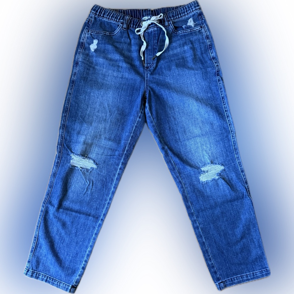 Aerie Relaxed Blue Jeans with Distressed Accents